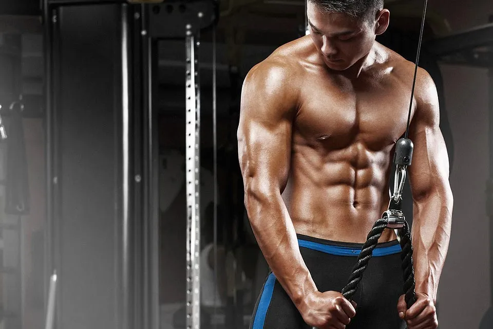 steroid cutting cycle workout